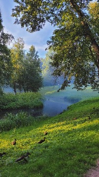 Марунова Алла 6